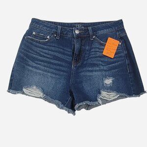 Time and Tru High Rise Distressed Denim Shorts | Raw Hem | Size 6